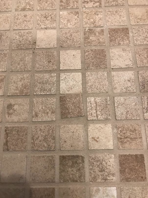 Saw This On The Bathroom Floor Of A Model Home