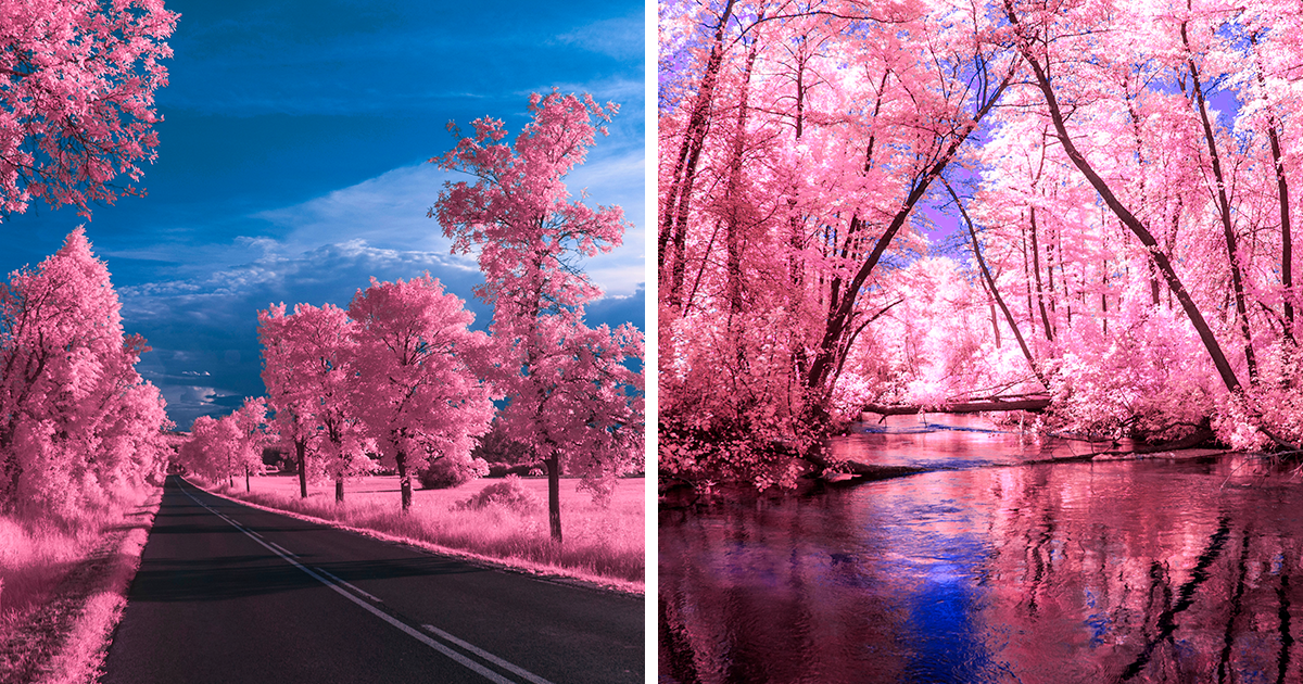 I Create Magical Worlds With The Help Of Infrared Photography | Bored Panda