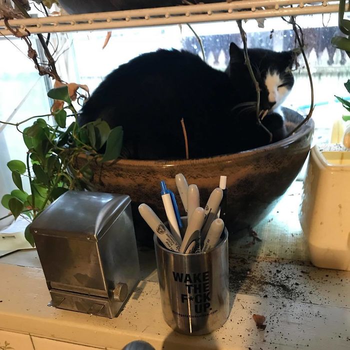 Well, There Was A Plant In There. Now It’s A Bed