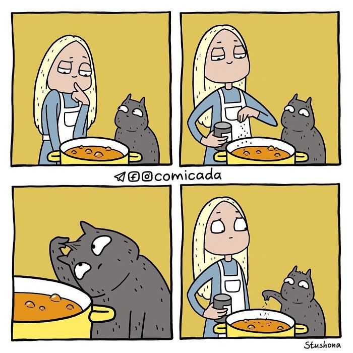 Soup With A Cat