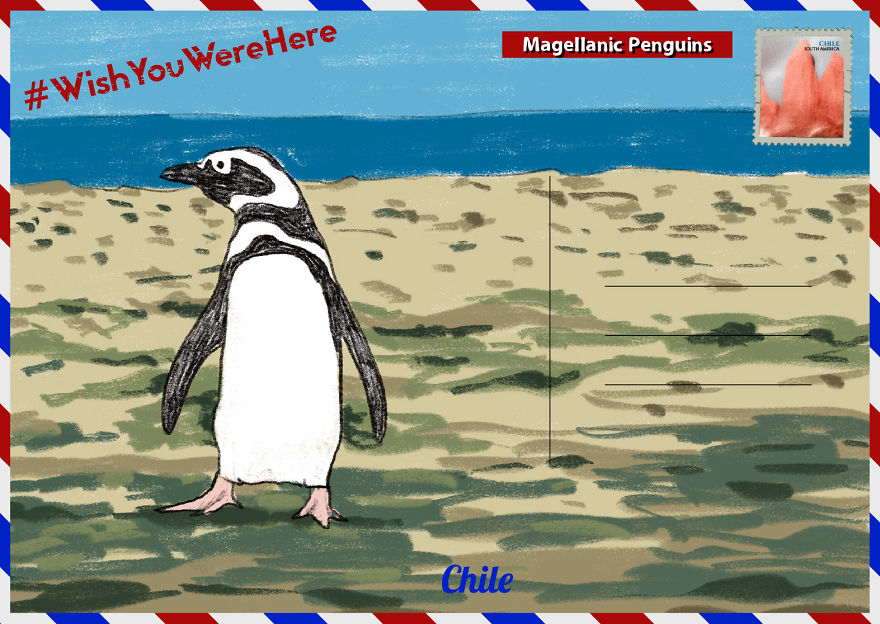 We Created Postcards Showing Where To Find Penguins In The Wild