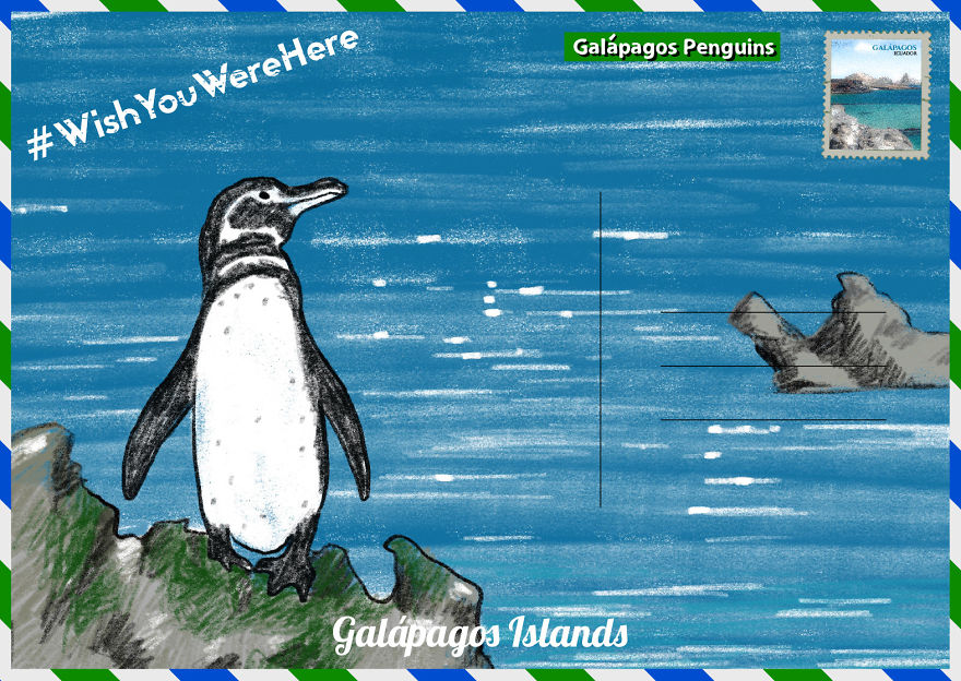We Created Postcards Showing Where To Find Penguins In The Wild
