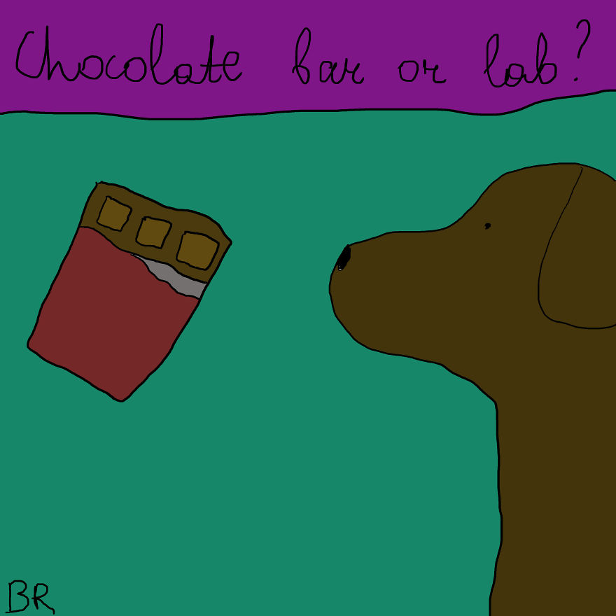 I Am Drawing Adventures Of My Dog