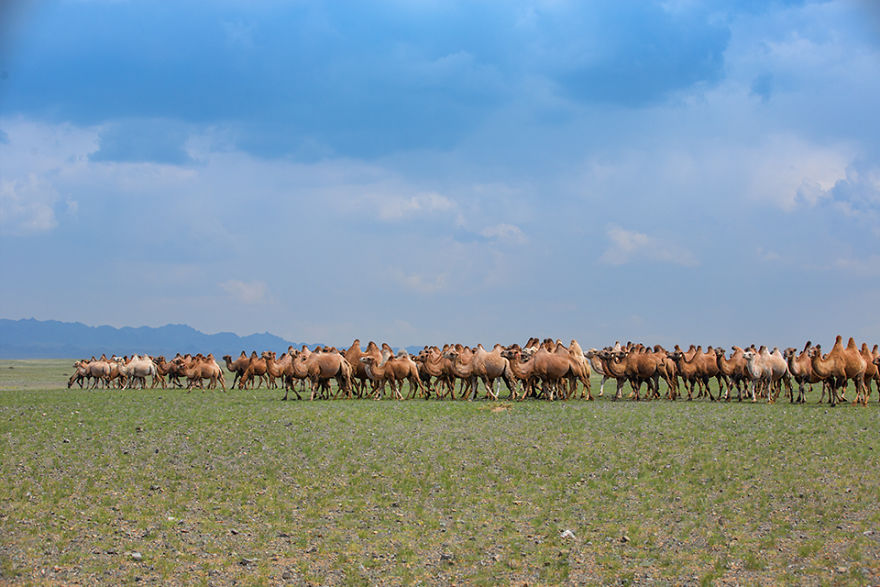 I Took Photographic Journey Through The Gobi Desert Of Mongolia