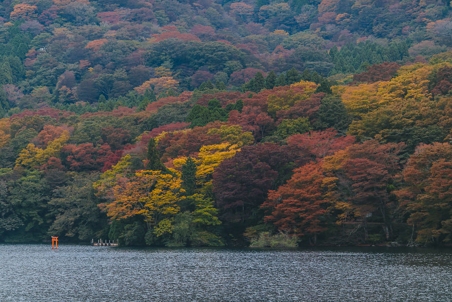 The Colors Of Lake Ashinoko, Hakone