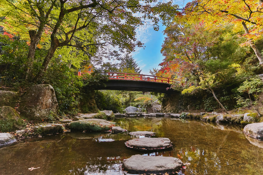 Momijidani In Autumn, Miyajima