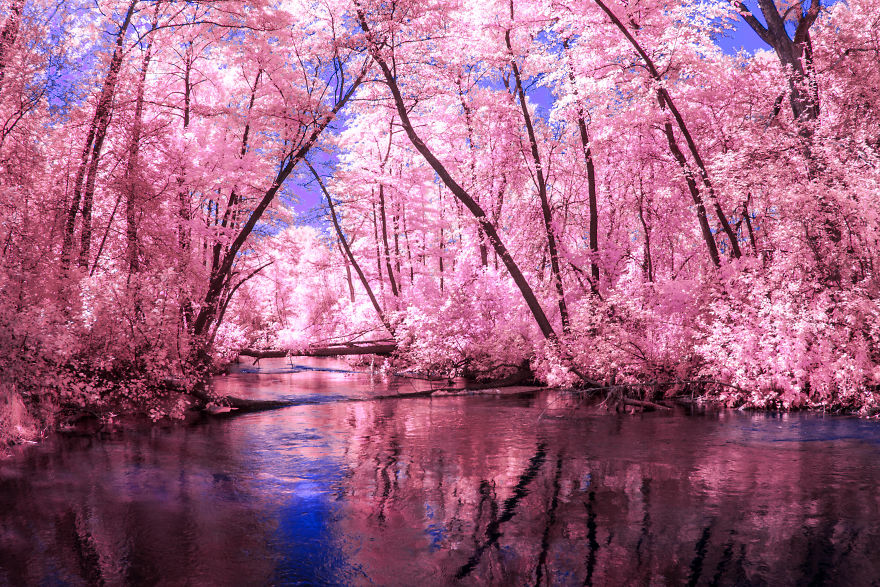 I Create Magical Worlds With The Help Of Infrared Photography