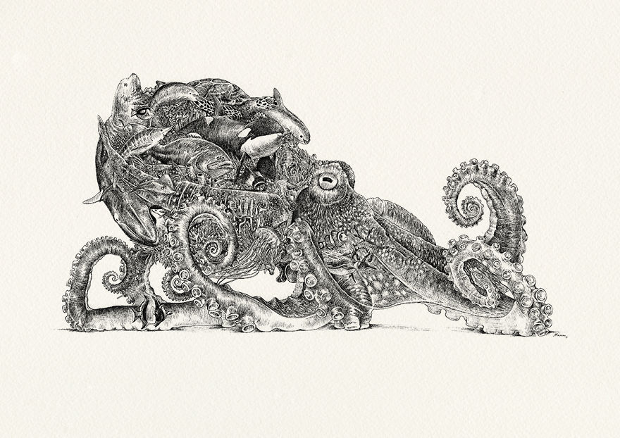 Octopus / Oceanic