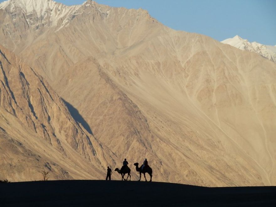 I Photographed The Nubra Valley In Ladakh