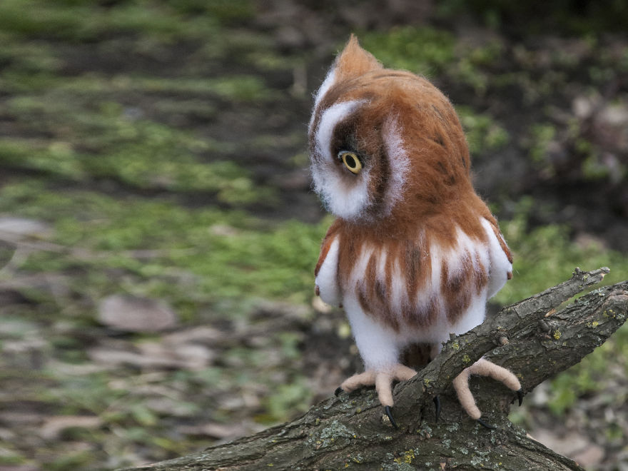 This Owl Never Flies. It Is A Felt Sculpture