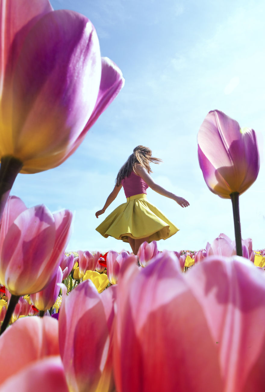 We Captured The Incredible Transformation Of The Netherlands When All 7 Million Tulips Bloom At Once
