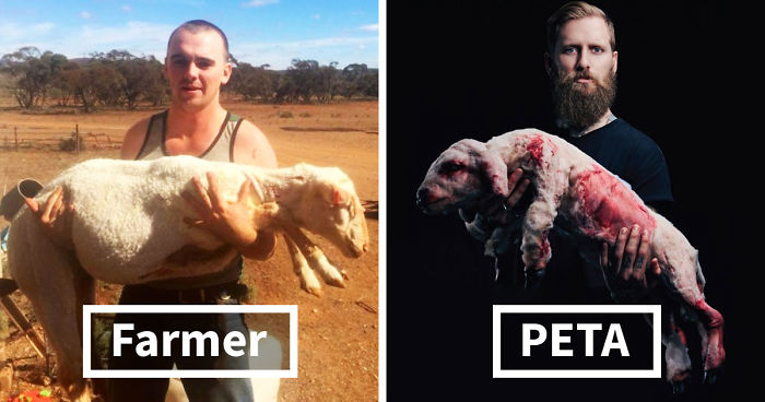 This Brutal Anti-PETA Rant Is Going Viral, And People Are Shocked To Learn  About Their Hypocrisy | Bored Panda