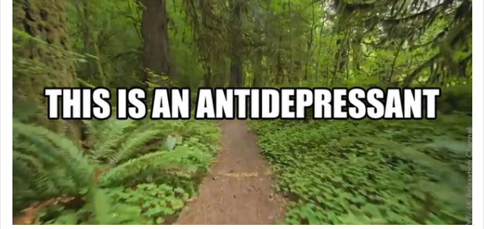 antidepressant-nature-medicine-reaction-45