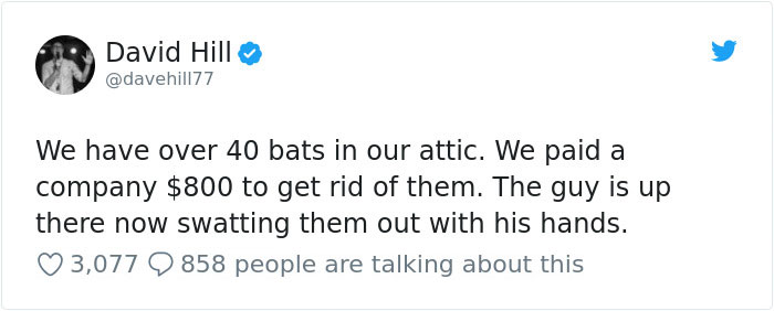 Guy Pays $800 To Get 40+ Bats Out Of His Attic, Doesn't Expect Contractors To Do This