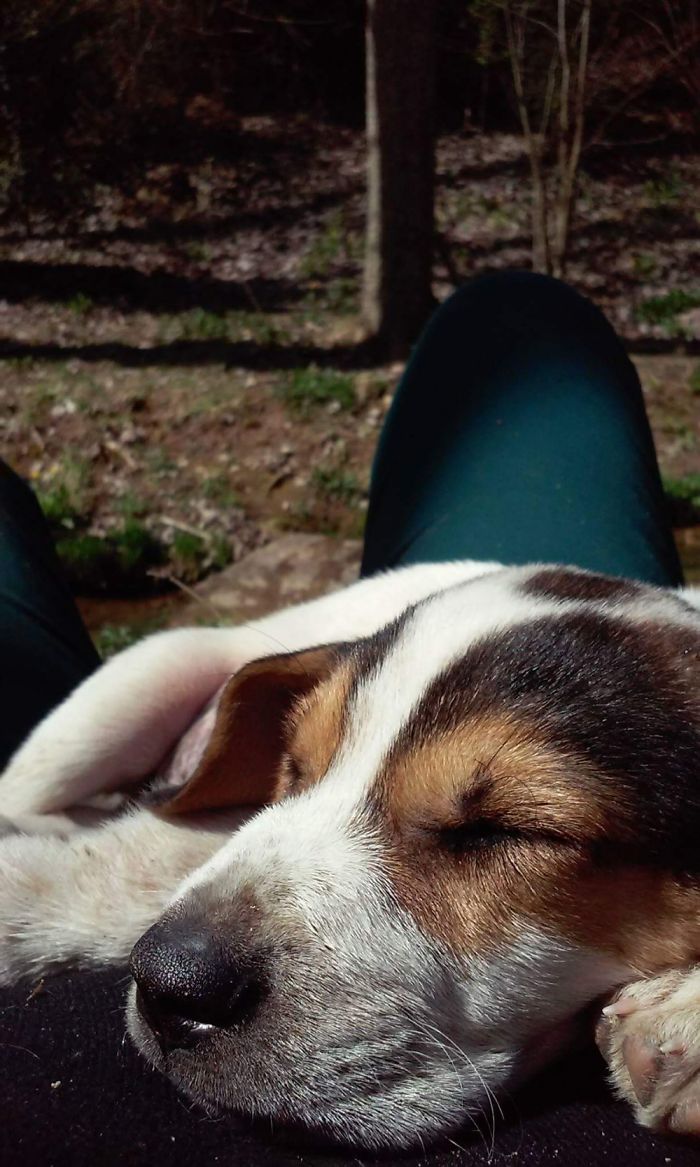 Rorik Taking A Nap On My Belly In The Forest! 3 Months Old.