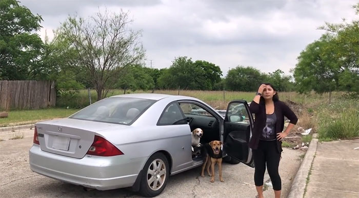 This Woman Was Caught Red-Handed While Dumping Her 4 Dogs, And Got What She Deserved