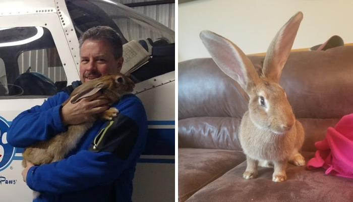 Love At First Flight – Our True Easter Bunny Blessing