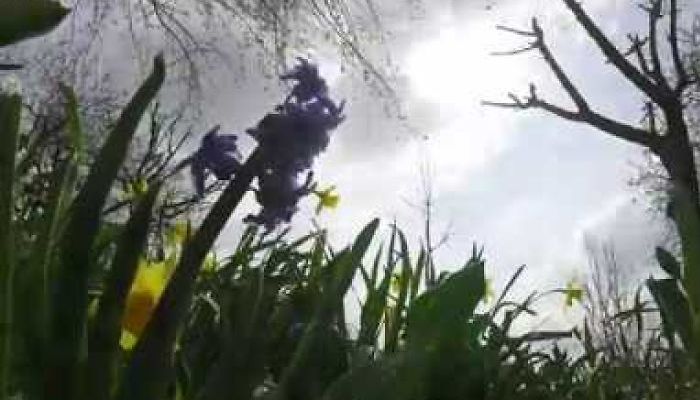 Time Lapse Of April – The Most Beautiful Month In Europe