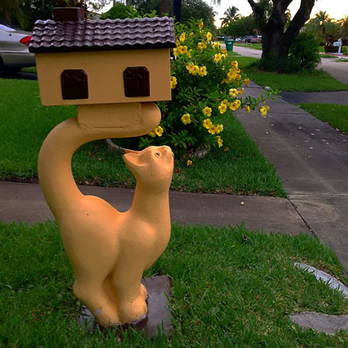 Cat Box