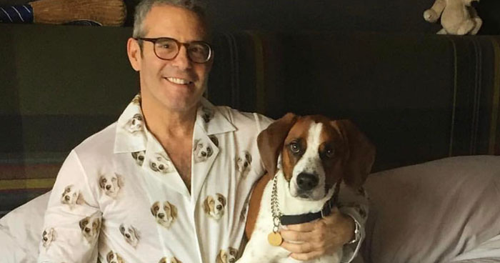 This Company Makes Custom PJ’s With Your Pet’s Face On It And We Need One Now