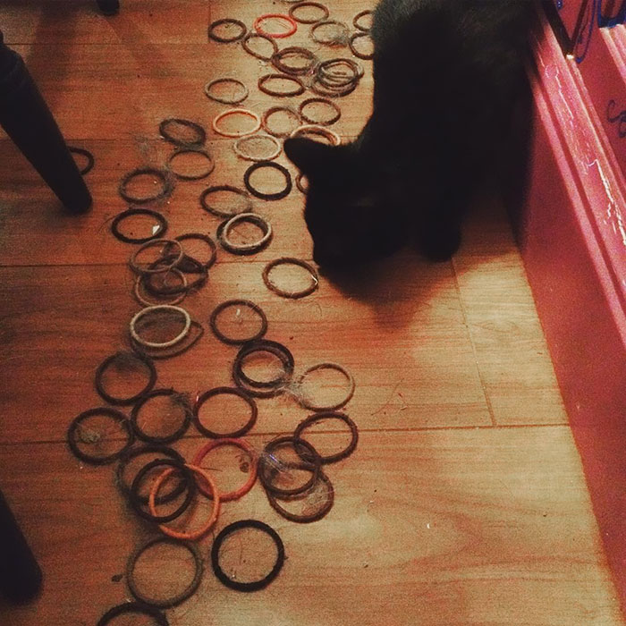 Discovered My Cat Had Stashed Over 100 Of My Hairbands Under A Single Piece Of Furniture