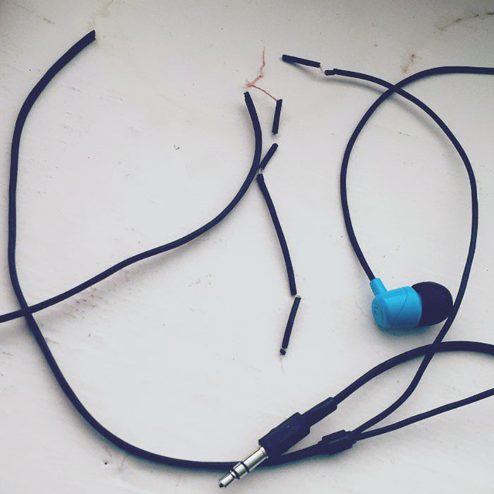 RIP Earphones Shredded To Three Pieces By Crazy Cat
