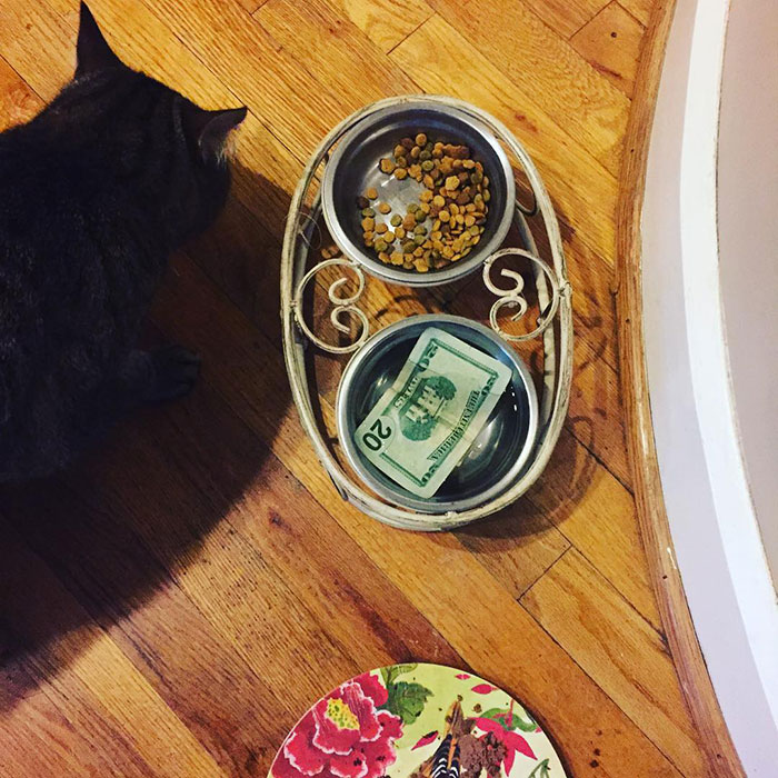 Giving New Meaning To The Phrase "No Concept Of Money." Yes, That Is A Full Bowl Of Water