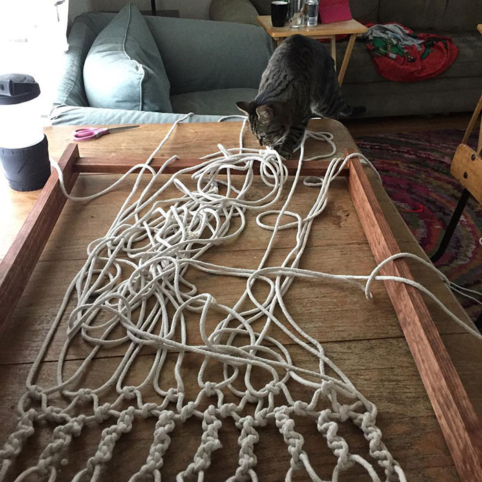 Making Macrame While A Cat Is Around Is Basically Pointless