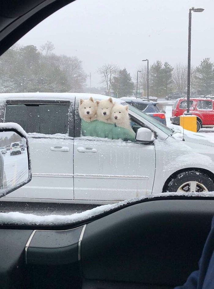 I Couldn't Believe What I Was Seeing When I Pulled Up Next To These Three Amidst A Snowstorm
