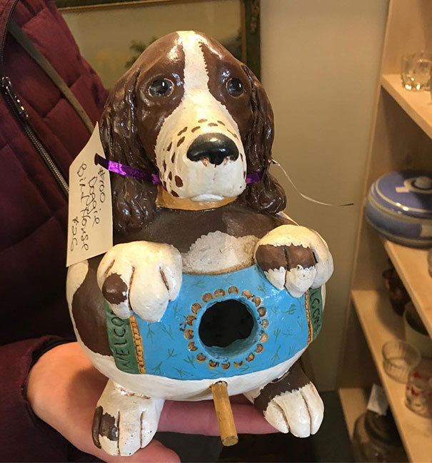 I Can Understand Why The Dog Looks So Upset. I Mean Someone Made A Bird House In His Stomach