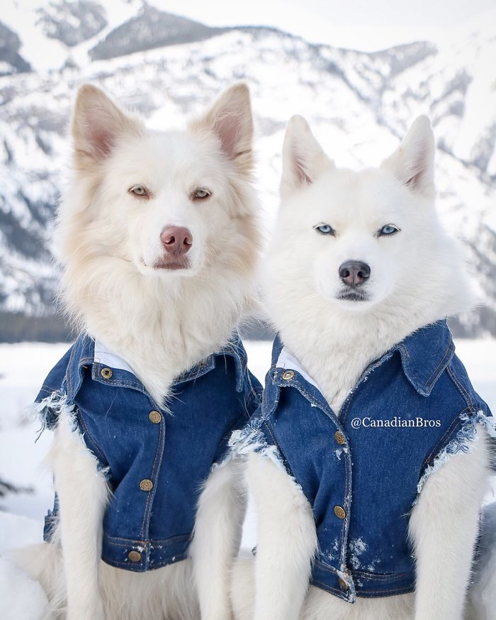 Bros Dressed For Spring, Only In Canada🇨🇦