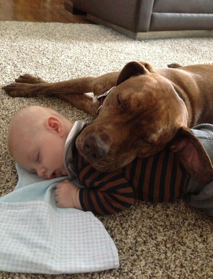 Babies Make The Best Pillows