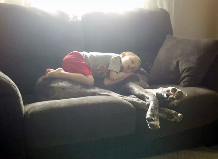 Sick Nephew And Our Great Dane
