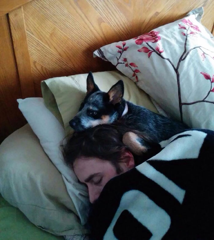 She Likes To Sleep On My Head When I'm Sick