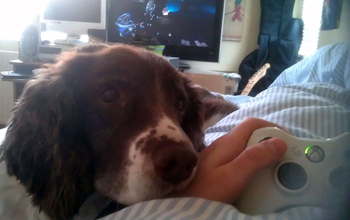 My Dog Keeping Me Company While I Was Ill