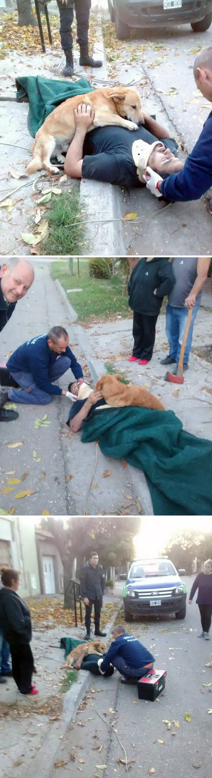 Concerned Dog Refuses To Stop Hugging His Owner Who Was Injured In A Fall