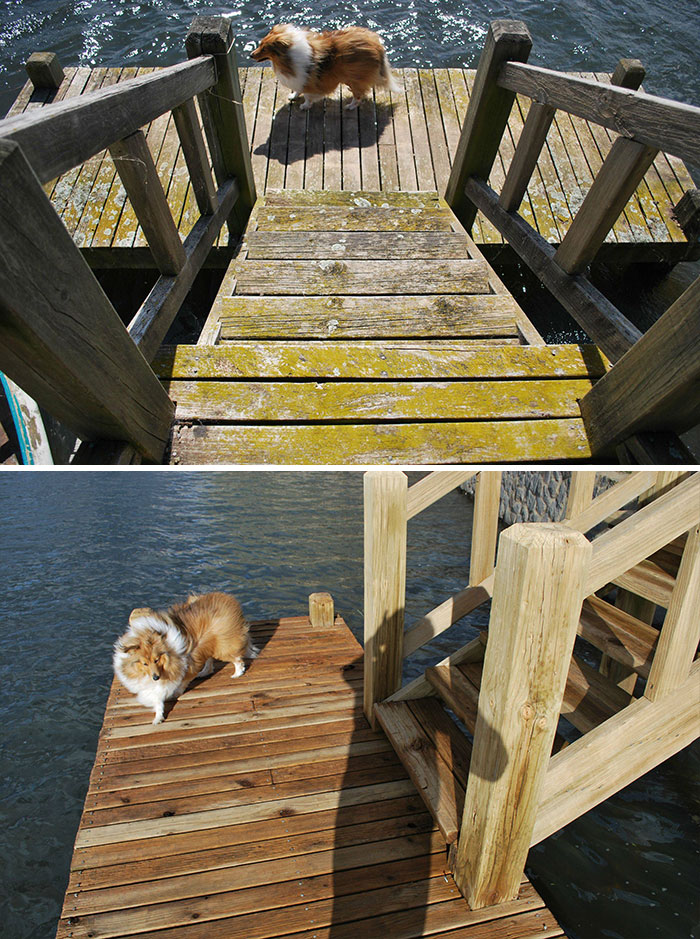 I Cleaned A Jetty Yesterday With A Power Washer. Hadn't Been Touched In Over 15 Years. Can't Believe The Difference It Made. Bonus Dog Pictures