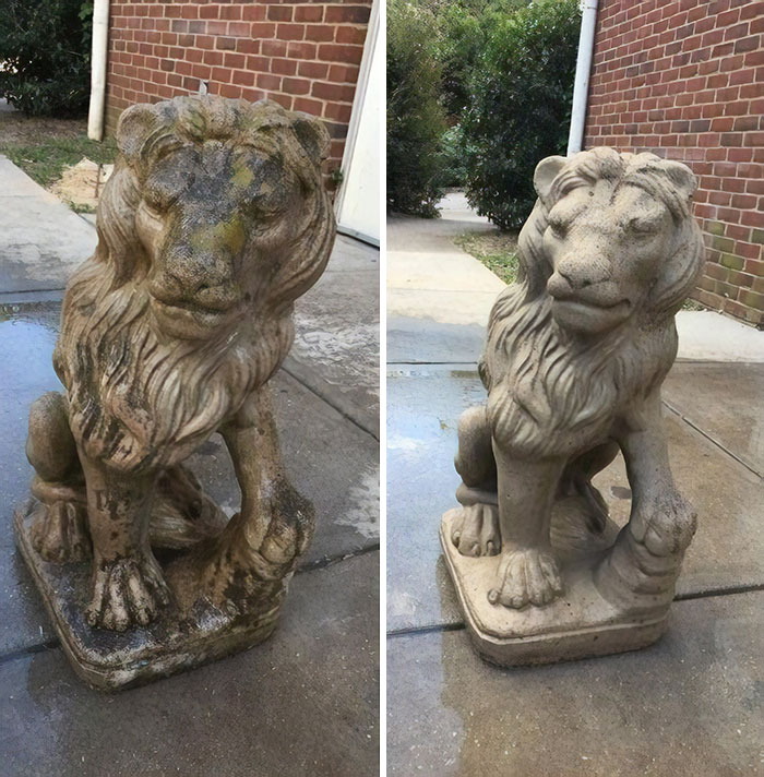 Before And After Of A Lion An Alumni Donated To My Fraternity. Pretty Happy With How It Turned Out