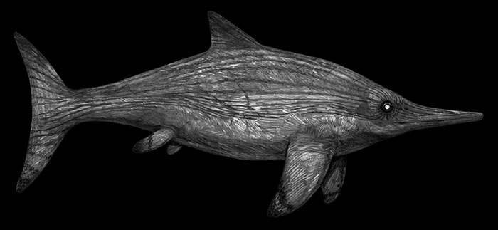 Pencil Illustration Of The Ichthyosaur Acamptonectes