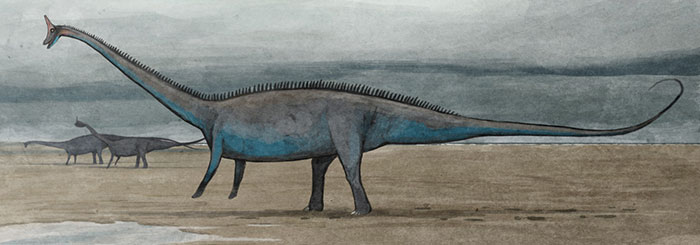 A Bull Diplodocus Briefly Walks On Two Legs While On A Beachside Excursion, As His Kind Often Does