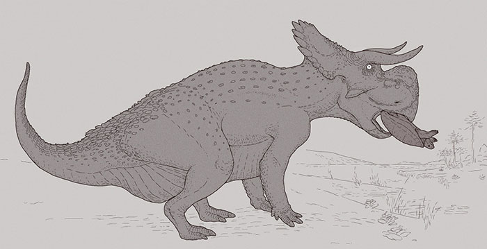 The “Bull-Horned” Ceratopsian Nasutuceratops Supplements Its Diet With A Dash Of Calcium - From An Unfortunate Turtle It Found On A River Bank