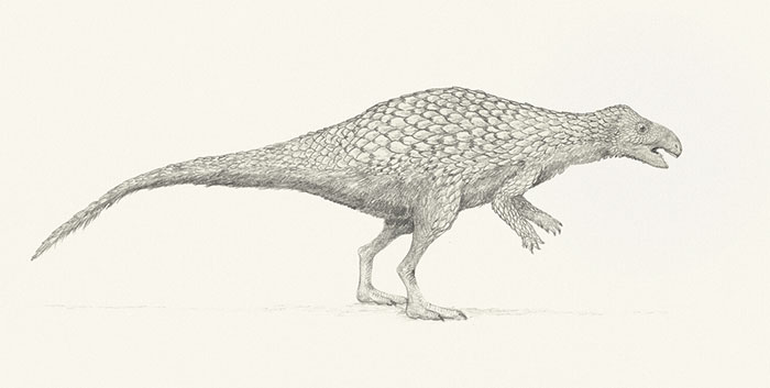 The Herbivorous Dinosaur Zalmoxes, Restored Speculatively With A Covering Of Thick, Pangolin-Like Scales Interspersed With Feathery Filaments