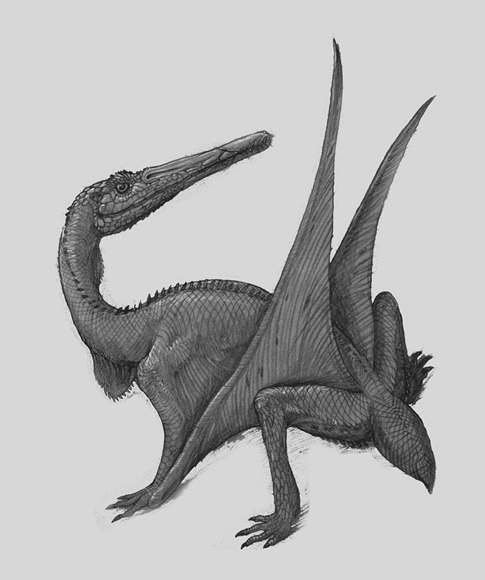 This Is A Purposefully Wrong Reconstruction Of Pterodactylus With Lizard-Like Features