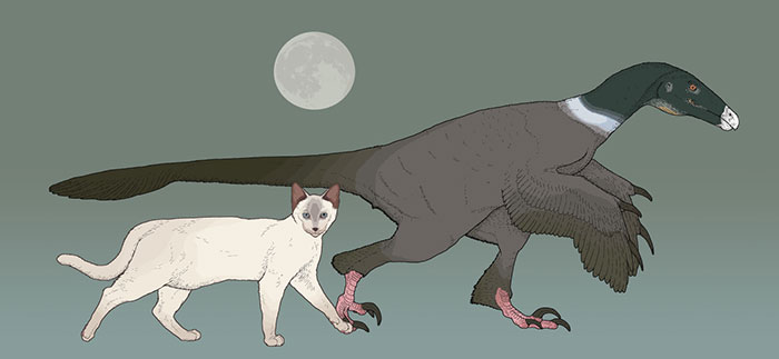 This Artist Depicts How Dinosaurs Actually Looked Like Bored Panda This Artist Depicts How Dinosaurs Actually Looked Like Bored Panda