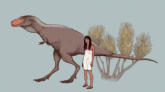 Albertosaurus, The Original "Terror Bird"