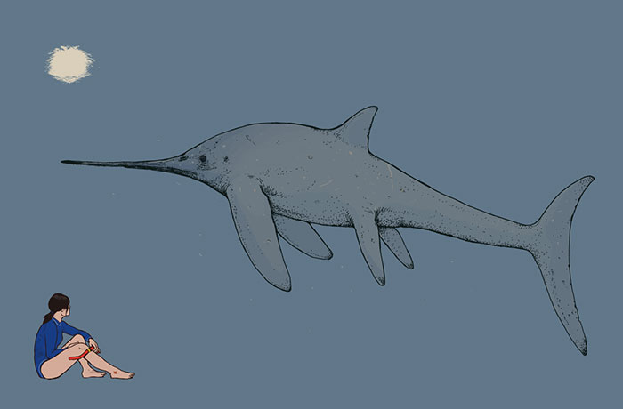 The Sword-Beaked Ichthyosaur Eurhinosaurus Has Been Typecast As A Slim, Sleek Marine Reptile, But With A Length Exceeding 6 Meters, It Must Have Been Quite A Stately Creature In Real Life