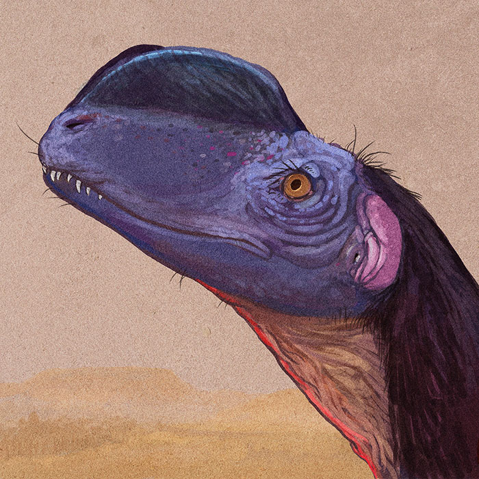 Portrait Of Sinosaurus, A Meat-Eating Dinosaur Once Thought To Be A Species Of The Dilophosaurus