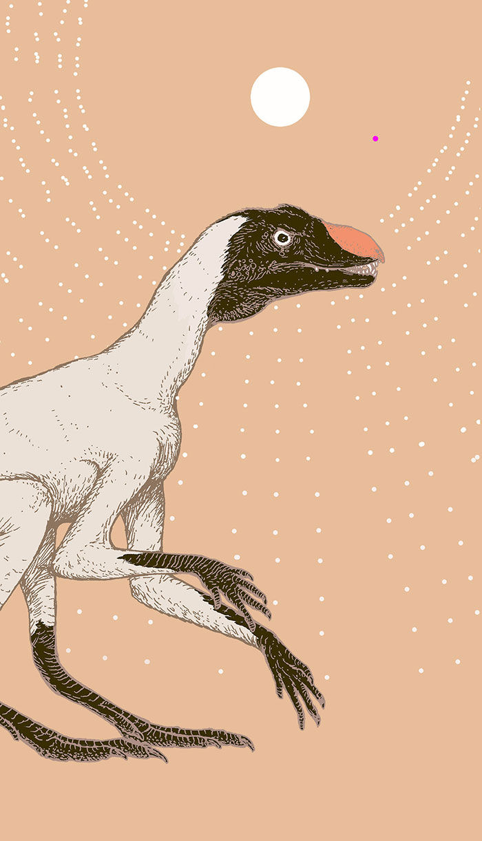 This Small, Climbing, Fuzzy And Heterodont (Differently-Toothed) Animal As The Ultimate Ancestor Of All Dinosaurs, “Dinosauromorphs” And Pterosaurs