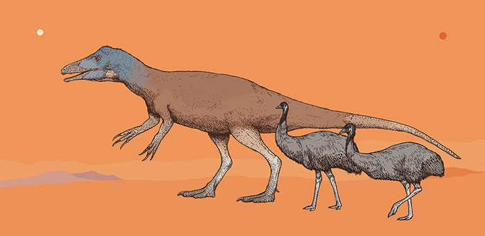 Australian Dinosaurs: Australovenator Wintonensis And Two Modern-Day Emus, Dromaius Novaehollandiae. The Australovenator Figure Is Adapted From A Skeletal Drawing By Ashley Patch