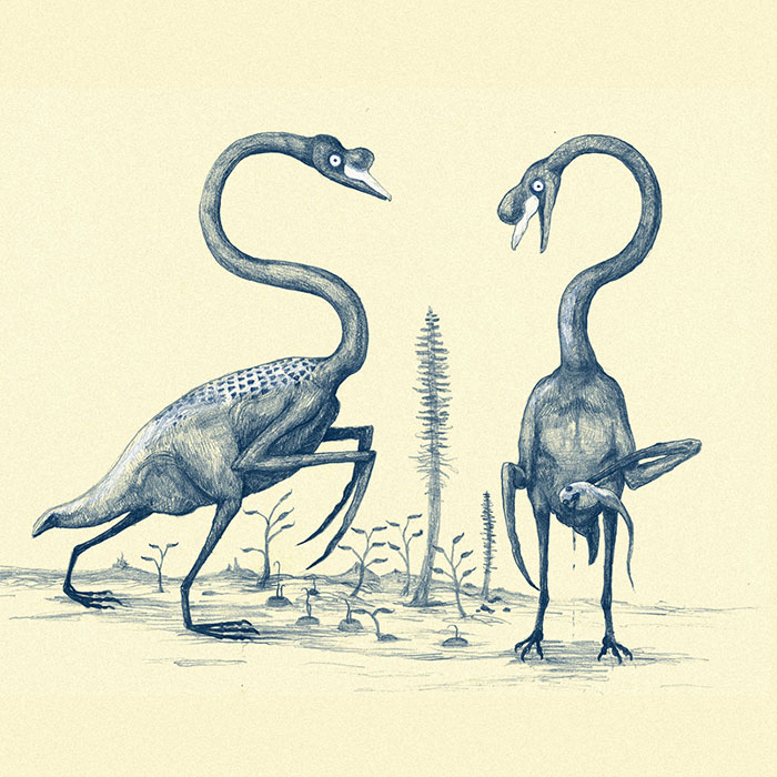 Scythe-Armed, Featherless Swans